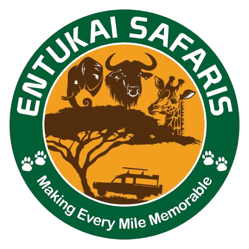 Entukai Safaris